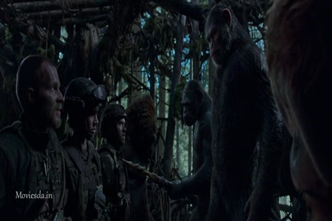 War for the Planet of the Apes HD Sample.mp4