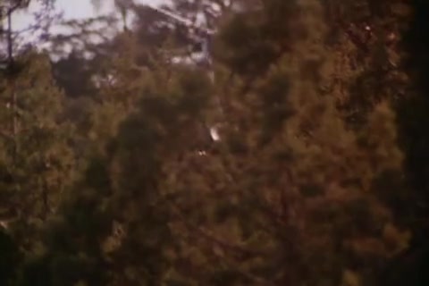 Fit To Kill Sample.mp4