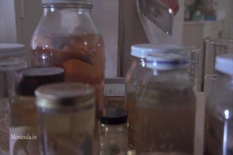 Blood Wings HD Sample.mp4