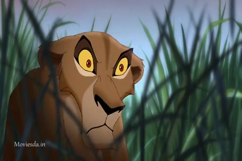 Simbas Pride Sample (480x320).mp4