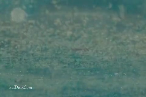 Fear The Walking Dead - Epi 4 - Not Fade Away.mp4