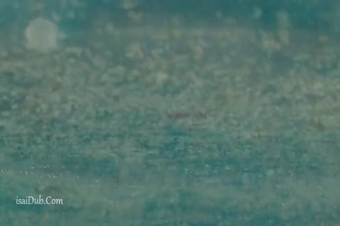 Fear The Walking Dead - Epi 4 - Not Fade Away HD.mp4