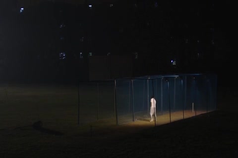 Bunny Sample.mp4