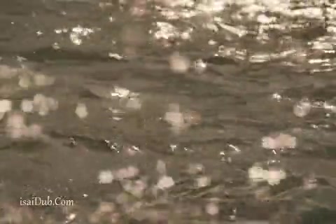 Fear The Walking Dead Epi 03.mp4