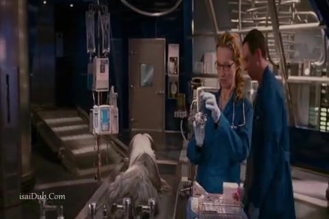 The Shaggy Dog Sample.mp4