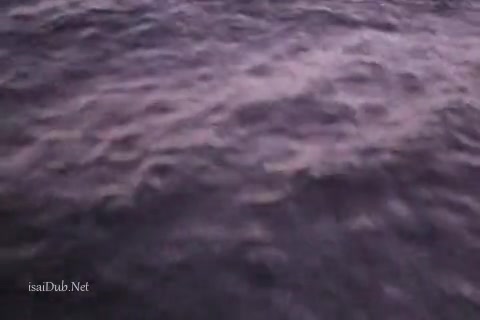 Vipers.mp4