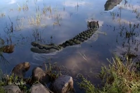 Lake Placid 3 Sample.mp4