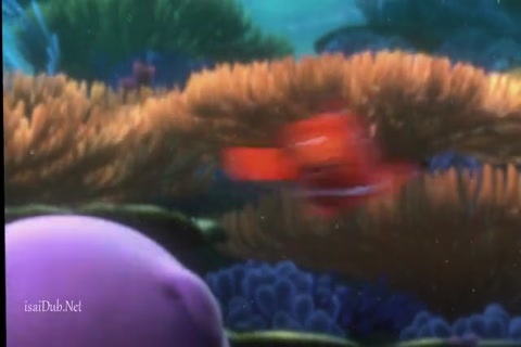 Finding Nemo HD Sample.mp4