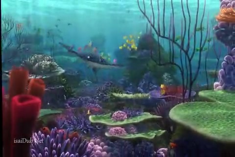 Finding Nemo Sample.mp4