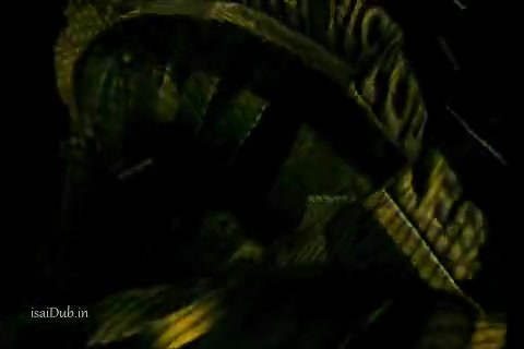 Mowgli.mp4