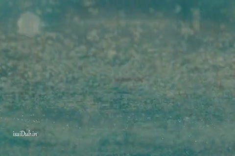 Fear The Walking Dead Season 1 (Epi 04) HD.mp4