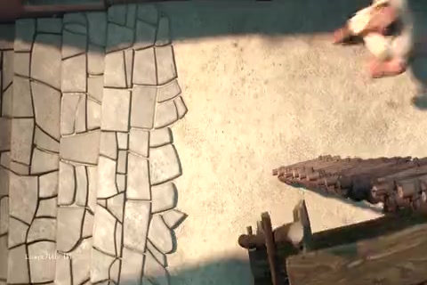 The Star Sample.mp4