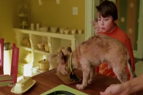 The Cat in the Hat Sample.mp4