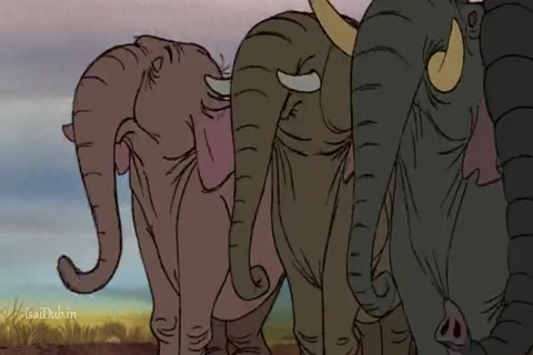 The Jungle Book HD Sample.mp4