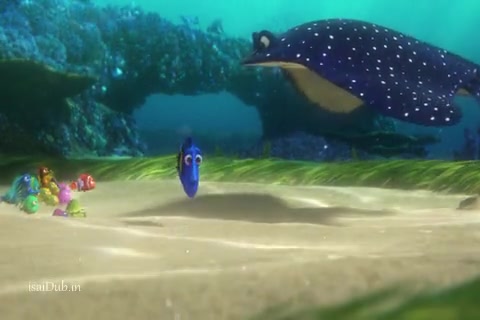 Finding Dory Sample.mp4