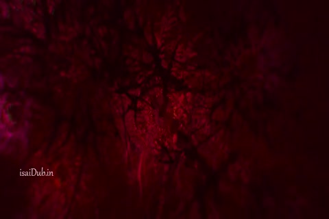 Enter the Void 2009 HD Sample.mp4