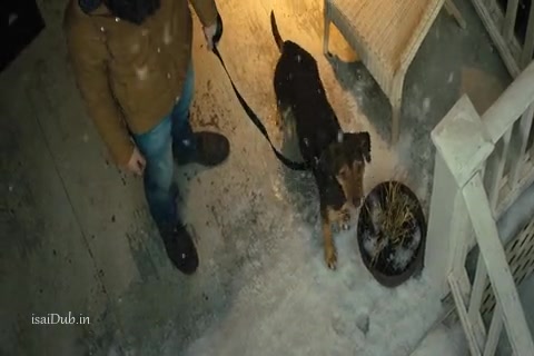 A Dogs Way Home 2019 Sample.mp4
