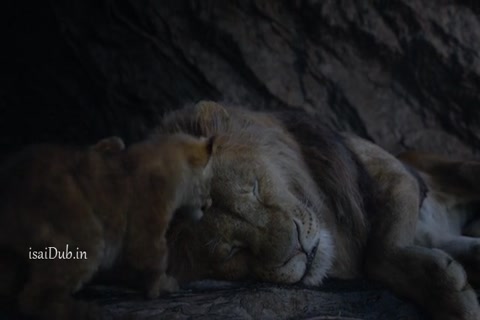 The Lion King HD Sample.mp4