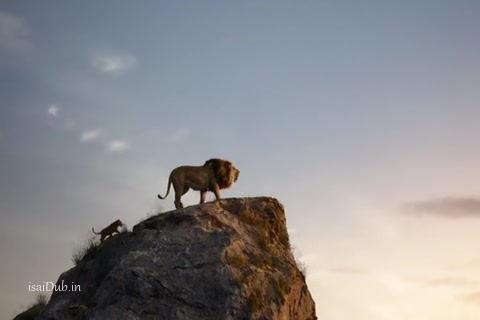 The Lion King Sample.mp4