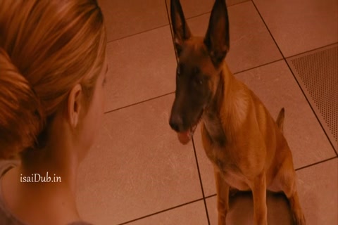 Divergent 2014 HD Sample.mp4