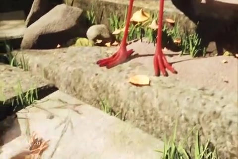 A Storks Journey Sample.mp4