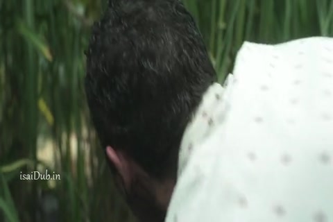 In the Tall Grass 2009 HD Sample.mp4