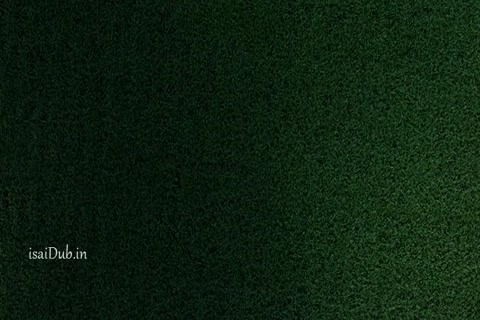 In the Tall Grass 2009 HD.mp4