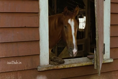 Charlottes Web 2006 HD Sample.mp4