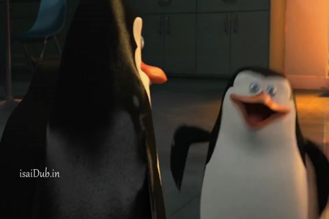 Penguins of Madagascar 2014 HD Sample.mp4