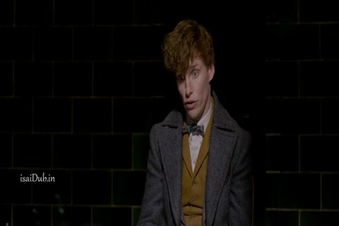 The Crimes of Grindelwald HD Sample.mp4