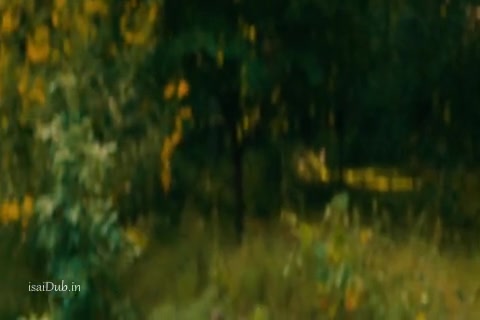 First Kill 2017 Sample.mp4