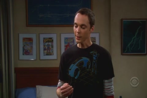 The Big Bang Theory Season 1 (Epi 15) HD Sample.mp4