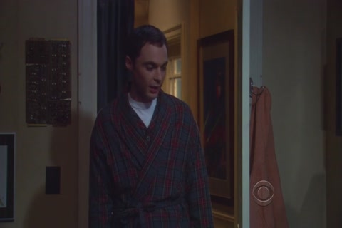 The Big Bang Theory Season 3 (Epi 20) HD Sample.mp4