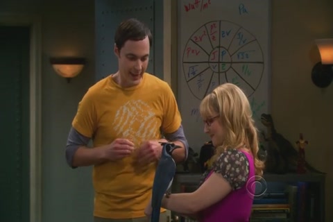 The Big Bang Theory Season 5 (Epi 09) HD Sample.mp4