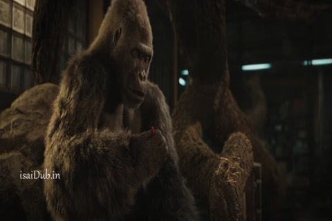 The One and Only Ivan (2020 HD Sample.mp4