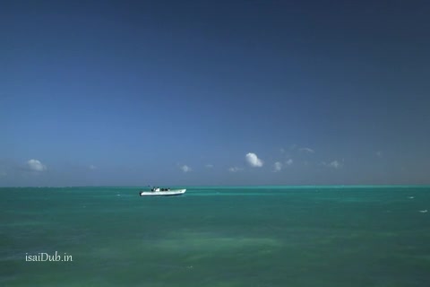 Poseidon Rex 2013.mp4