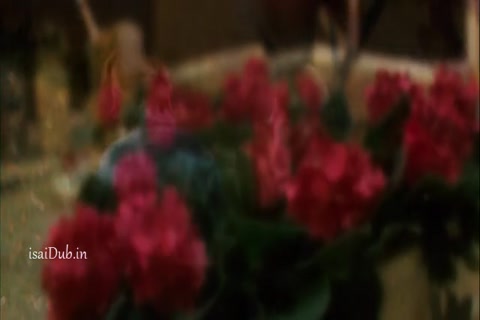 The Lovely Bones 2009 HD Sample.mp4