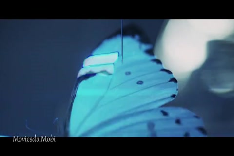 Doctor John (Season 1) (Episode 12) HD.mp4