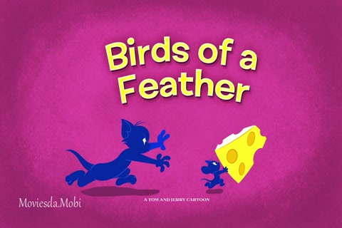 Tom and Jerry Season 01 (Epi 13 Birds Of A Feather) HD.mp4
