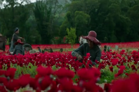 Into The Badlands Season 03 E01 Enter The Phoenix HD Sample.mp4
