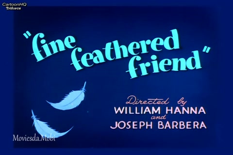 Fine Feathered Friend HD.mp4
