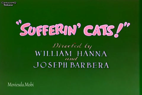 Sufferin Cats HD.mp4