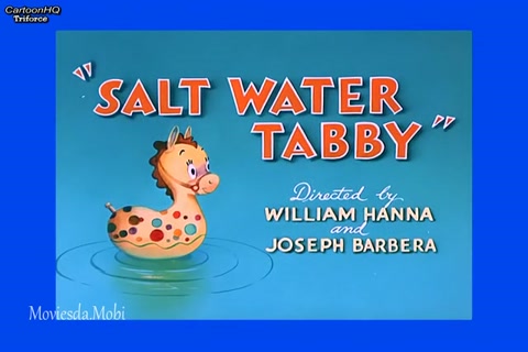 Salt Water Tabby HD.mp4