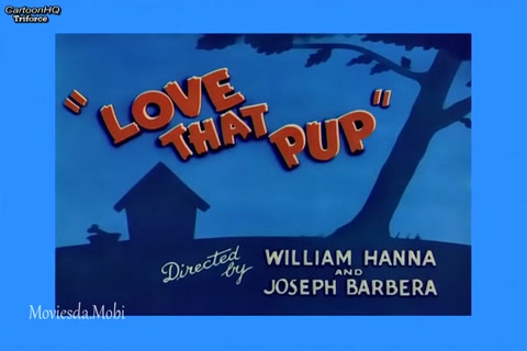 Love That Pup HD.mp4