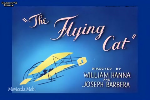 The Flying Cat HD.mp4