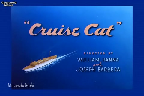 Cruise Cat HD.mp4