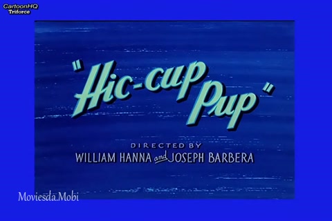 Hic Cup Pup HD.mp4