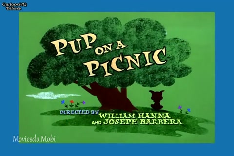 Pup On A Picnic HD.mp4