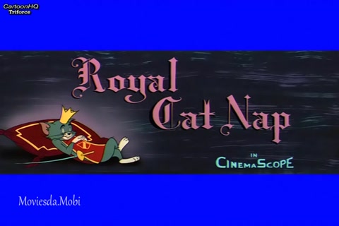 Royal Cat Nap HD.mp4