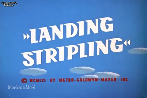 Landing Stripling HD.mp4